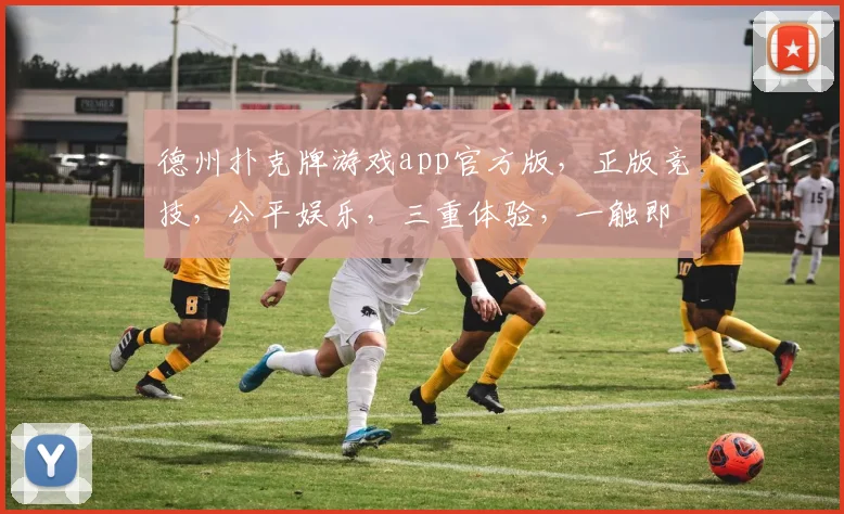 德州扑克牌游戏app官方版，正版竞技，公平娱乐，三重体验，一触即达