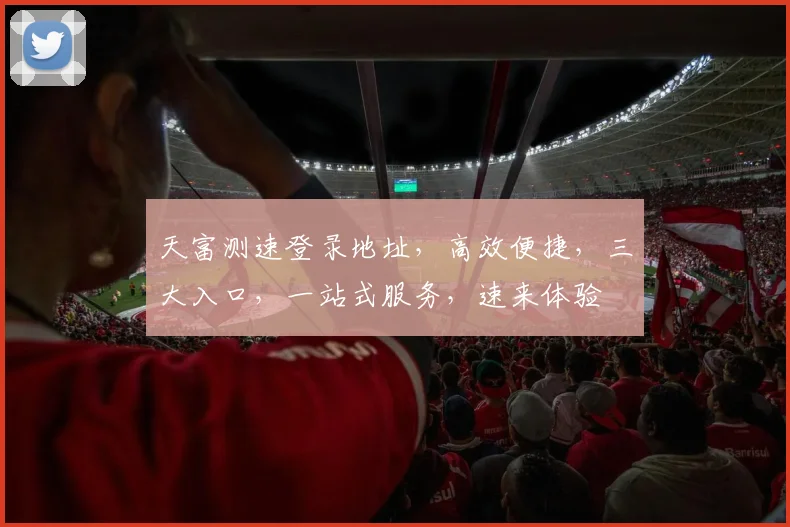 天富测速登录地址，高效便捷，三大入口，一站式服务，速来体验